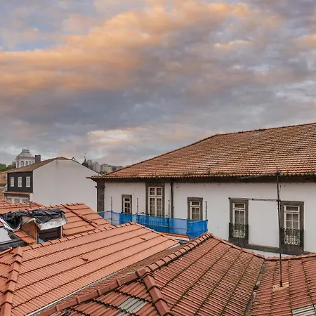 Insight - Belomonte Oporto