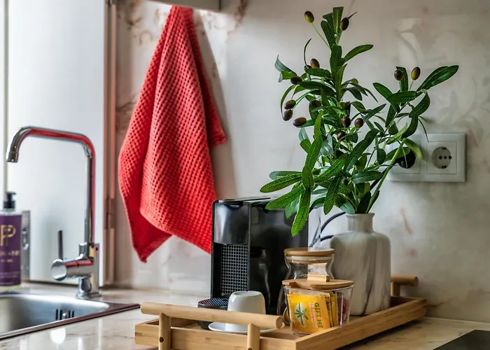 Insight - Belomonte *