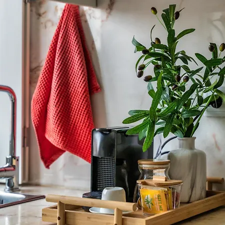 Insight - Belomonte *