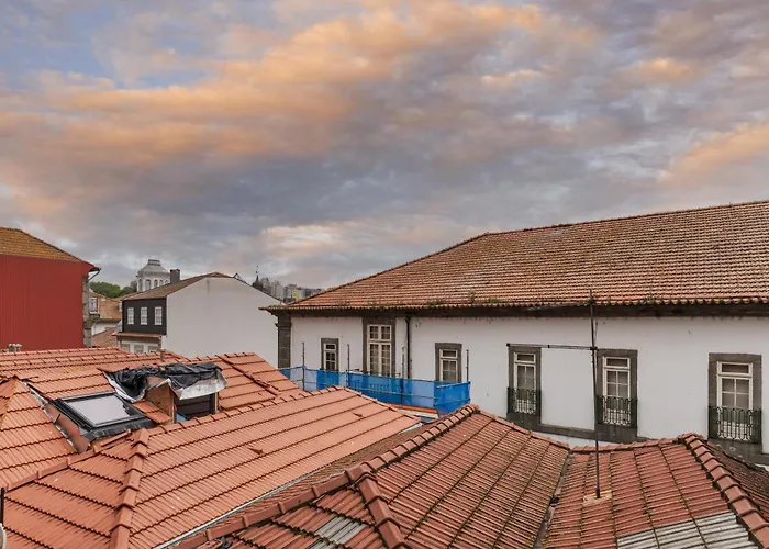 Insight - Belomonte Oporto